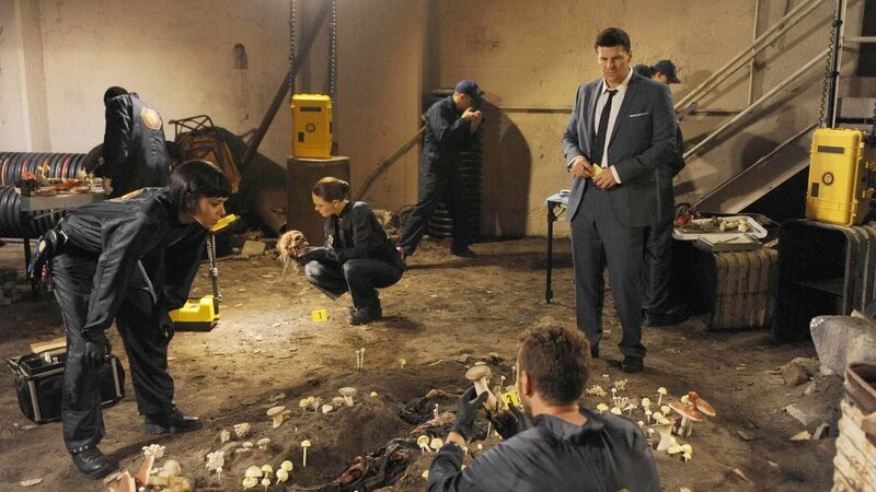(v.l.) Dr. Cam Saroyan (Tamara Taylor), Brennan (Emily Deschanel), Dr. Hodgins (TJ Thyne) und Booth (David Boreanaz) – Bild: RTL /​ FOX