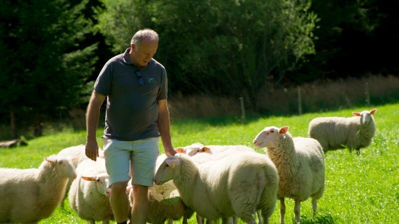 Landwirtschaft am Wolfgangsee. – Bild: ORF /​ Cinevision