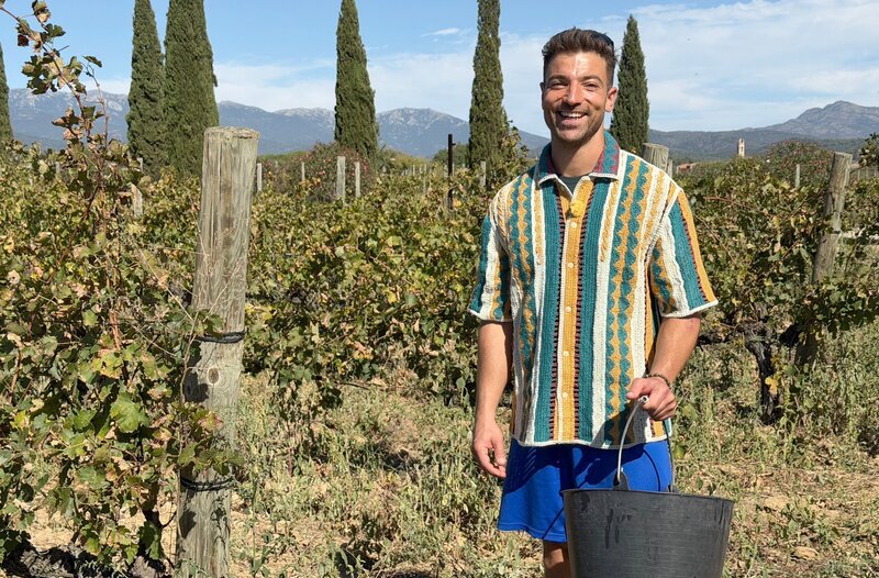 Ramon Babazadeh packt bei der Weinlese auf dem Weingut von Josep Serra mit an: Mit Eimer und Zange erntet er die ökologisch angebauten Trauben. Wie der perfekte Reifegrad schmeckt und was eine nachhaltige Produktion mit dem alten Winzerhandwerk verbindet – das erfahren Besucher hier aus erster Hand. – Bild: WDR/​Bavaria GmbH/​Paul Bogdanski