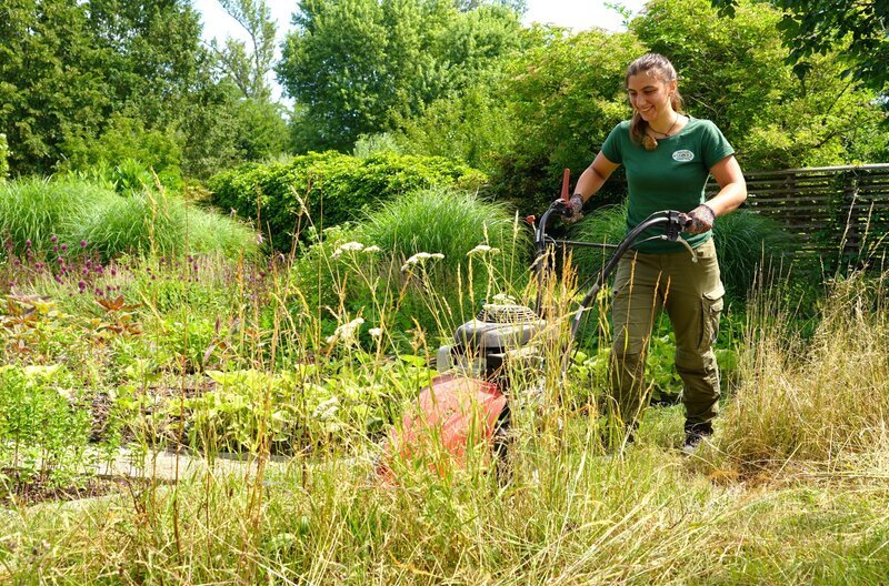 Diesmal dreht sich bei den Gärtnerinnen der GARTEN TULLN alles um Blumenwiesen und ihre ökologische Bedeutung. – Bild: Leopold Mayrhofer/​Natur im Garten