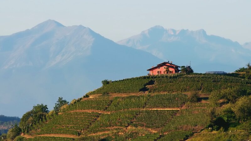 Das Piemont ist für seine hervorragenden Weine bekannt. – Bild: SRF/​Autentic