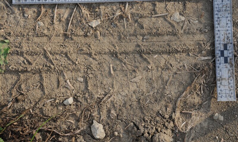 tire track – Bild: Sat.1 Gold
