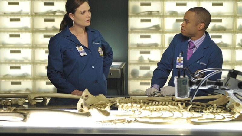 Brennan (Emily Deschanel) erfährt von Dr. Edison (Eugene Byrd), dass dieser anhand der Zahndaten des gefundenen Gebisses feststellen konnte, dass das Opfer Mitarbeiter in dem Copy-Shop war, von dem die Pakete verschickt wurden. – Bild: RTL /​ FOX