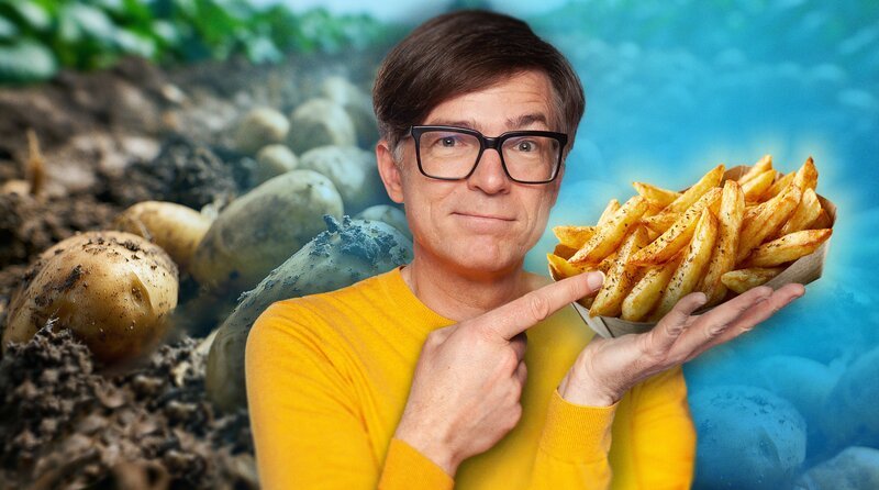 In Deutschland wachsen die meisten Kartoffeln der EU, und seit dem 18. Jahrhundert gehört sie fest zu unserer Ernährung. Aber die Kartoffel gerät unter Druck. Unser Essverhalten verändert sich, hin zu Reis oder Pasta. Salz- oder Pellkartoffeln kommen dagegen immer seltener auf den Tisch, und es werden immer weniger Kartoffeln gekauft. Es sei denn, sie sind verarbeitet: Pommes oder Chips boomen! Deshalb macht Quarks den Test: Wie gelingt die perfekte Pommes, ohne gefährliches Acrylamid und zu viel Fett. Ralph Caspers moderiert die Sendung. – Bild: WDR/​Tilman Schenk/​KI