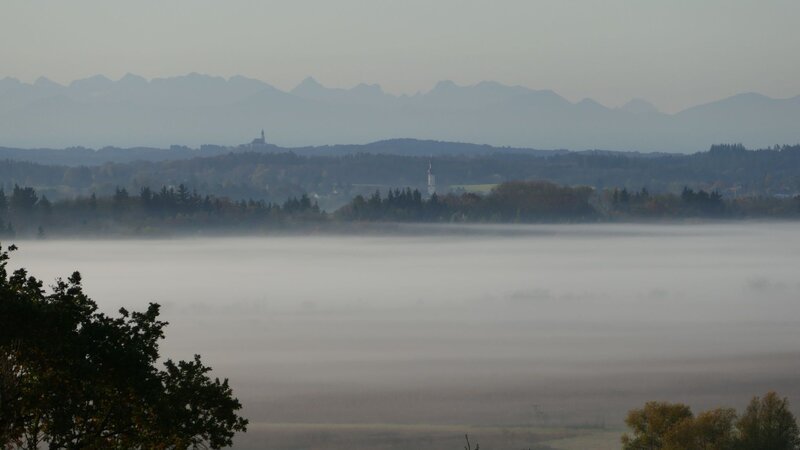 Morgennebel im Ampermoos. – Bild: BR/​C. Niederbichler
