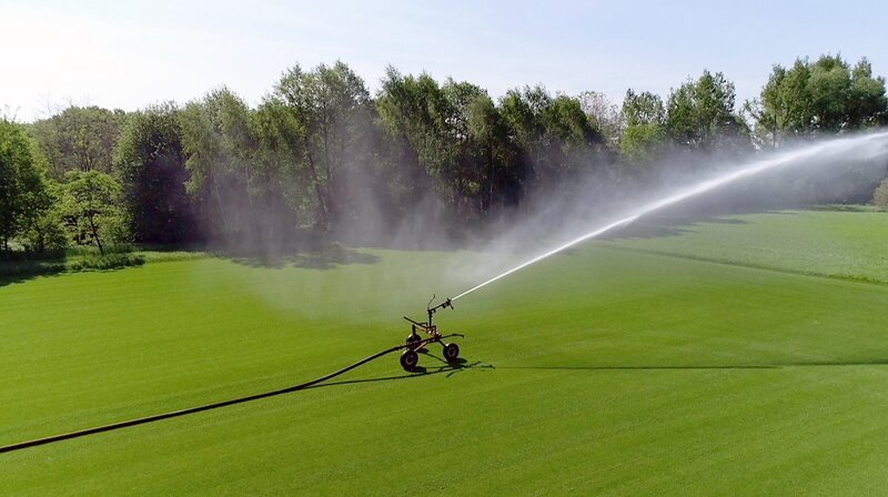 NDR Fernsehen WIE GEHT DAS? DER PERFEKTE RASEN, „Gras säen, pflegen, rollen“, am Mittwoch (01.04.20) um 18:15 Uhr. 15 Liter pro Quadratmeter braucht der perfekte Rasen © NDR/​Hanse TV, honorarfrei – Verwendung gemäß der AGB im engen inhaltlichen, redaktionellen Zusammenhang mit genannter NDR-Sendung bei Nennung „Bild: NDR/​Hanse TV“ (S2). NDR Presse und Information/​Fotoredaktion, Tel: 040/​4156⁠–⁠2306 oder -2305, pressefoto@ndr.de – Bild: NDR/​Hanse TV /​ NDR Presse und Information