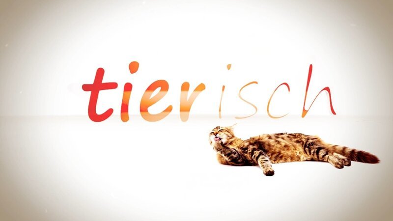Bild: AZ-Medien Bild: AZ-Medien