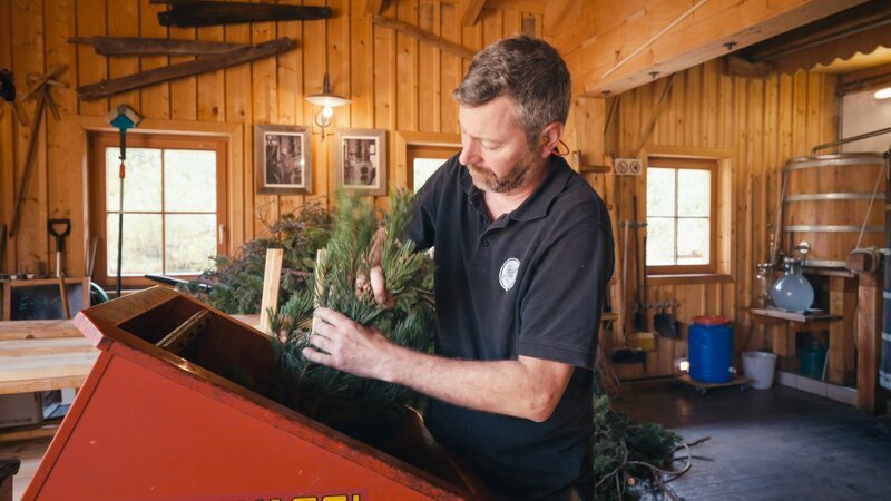 Thomas Lasser-Luidolt verarbeitet Latschen auf der Planneralm. – Bild: ORF/Neulandfilm Thomas Lasser-Luidolt verarbeitet Latschen auf der Planneralm. – Bild: ORF/Neulandfilm