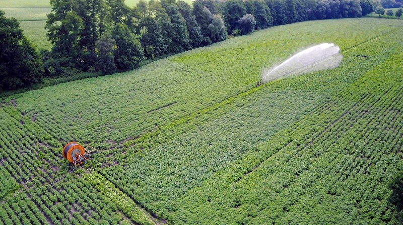 Bewässerung der Kartoffelfelder. Weitere Fotos erhalten Sie auf Anfrage. – Bild: NDR/​filmteam Papstein/​Mats Enderle