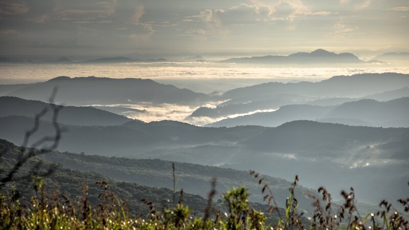 Ein Blick über das Hochland von Sri Lanka (Knuckles Mountain Range). Die Sonne erwärmt die regengetränkten Wälder und der aufsteigende Dunst umhüllt die Berghänge. – Bild: Terra Mater /​ Joe Loncraine
