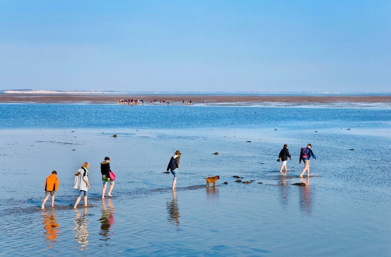 Wattwanderungen, eine steife Brise beim ausgiebigen Strandspaziergang und Radtouren stundenlang am Deich entlang sind für viele Menschen, gerade auch in NRW, der Inbegriff von Ferien. Urlaub auf einer Nordseeinsel – das bekommt aktuell einen neuen Reiz. – (Archivfoto: Wattwanderung von Föhr nach Amrum) – Bild: WDR/​picture alliance/​imageBROKER/​Sabine Luvenow