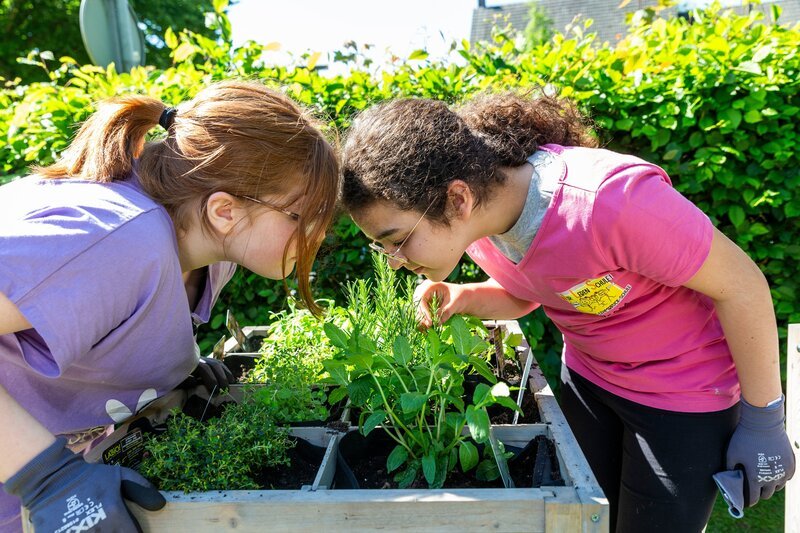 Die Schülerinnen und Schüler der Wilhelm-Lehmbruck-Schule in Dorsten können nun ihr eigenes Gemüse ernten. Sie haben einige Wochen zuvor bei ihrem gemeinsamen Schulgarten-Projekt Hochbeete bepflanzt. – Bild: ZDF/​Katja Inderka