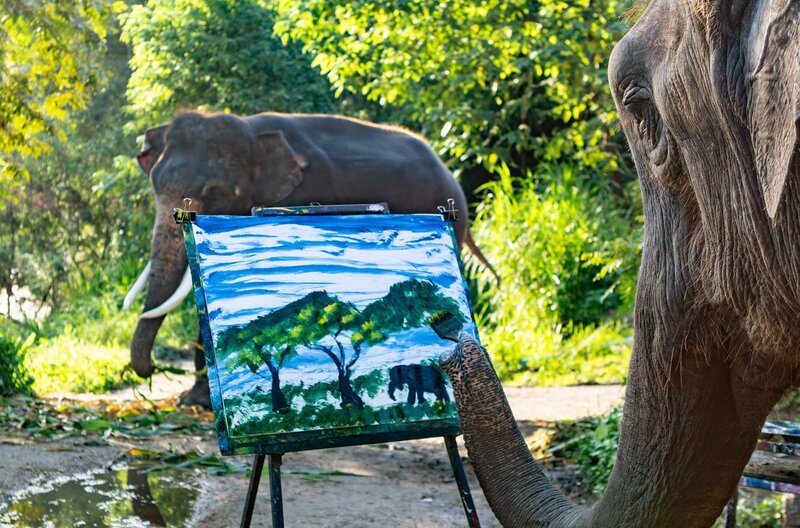 Ein Elefant malt, ein anderer steht Modell. Sind Elefanten wirklich zu solchen kreativen Leistungen fähig? – Bild: Robert Sigl