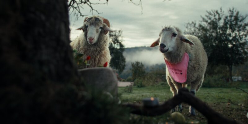 Oliver und Lara trauern. – Bild: Patrick Wally /​ ZDF
