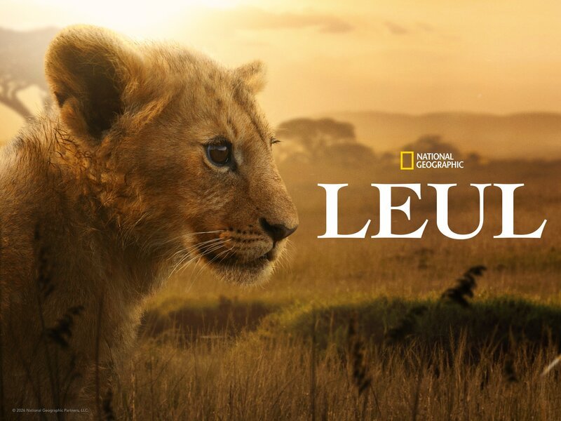 Bild: Disney+