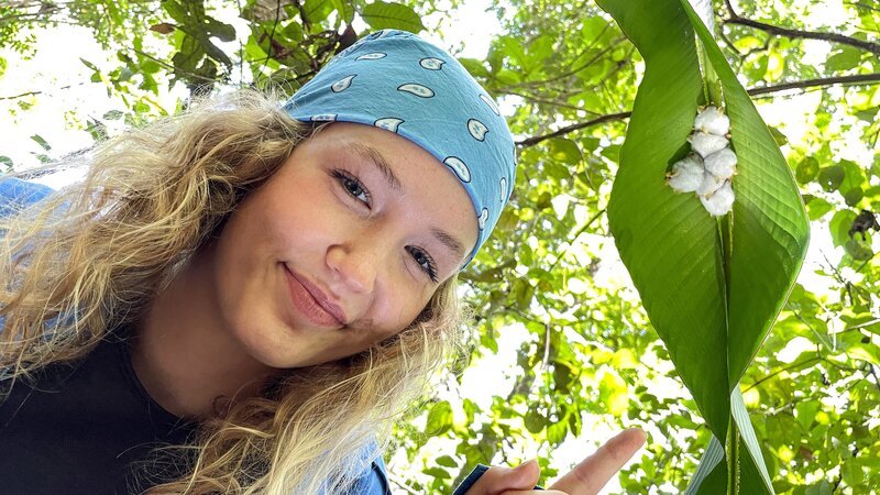 Nina hat die Weißen Fledermäuse im Regenwald in Costa Rica gefunden. Sie schlafen tagsüber geschützt unter einem Blattzelt. – Bild: BR/​Text und Bild Medienproduktion GmbH & Co. KG/​Marcella Müller