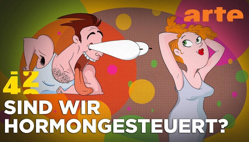 Hormone spielen eine große Rolle für unser Verhalten und doch greift es natürlich zu kurz, menschliches Erleben und Erfahrung auf eine objektiv messbare biologische Ebene zu reduzieren. – Bild: NDR/​ARTE