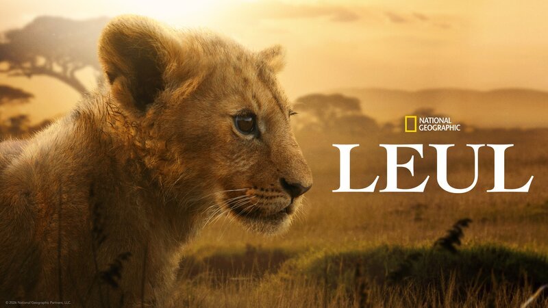 Bild: Disney+