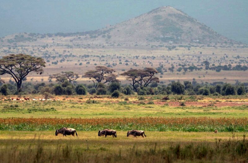 1988 reisen drei Freunde nach Kenia, um die Tierwelt zu beobachten – und festzuhalten, was Freiheit für die Tiere bedeutet. – Bild: ARTE F /​ Elephant Doc