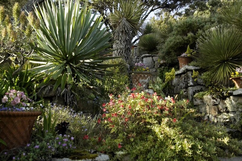 Subtropische Flora vor der Küste Cornwalls: der Abteigarten von Tresco – Bild: SRF/​Bo Travail