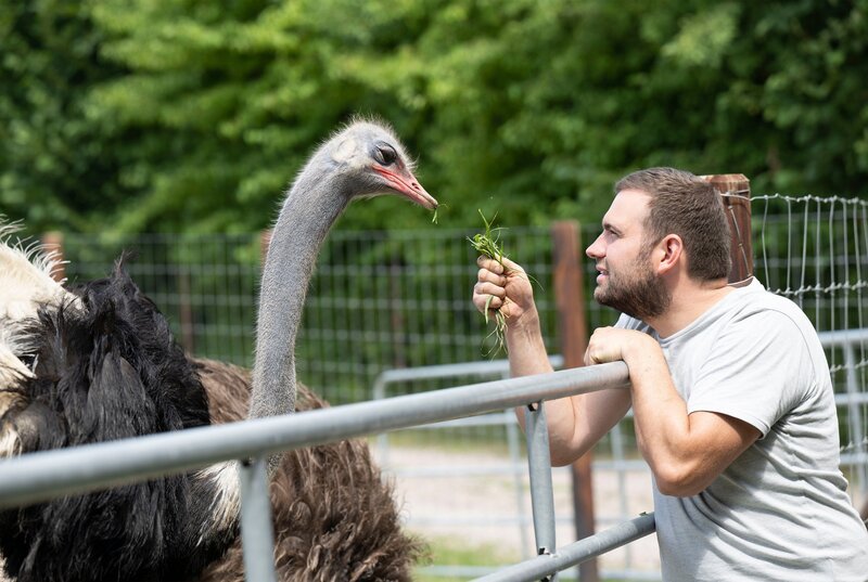Auf dem Hof im Teutoburger Wald von heutigen Gastgeber Nils Möller dreht sich alles um die größten Vögel der Welt. Die Idee, auf der alten Hofstelle seines Großvaters Strauße zu halten und zu züchten, kam dem 33-Jährigen vor acht Jahren am Lagerfeuer. Der gelernte Agrarservice-Fachmann entdeckte auf Reisen in der Welt Emus und Strauße, die ihn direkt faszinierten. – Bild: WDR/​Melanie Grande