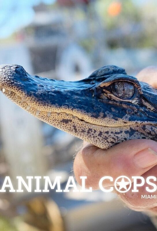 Bild: Animal Planet