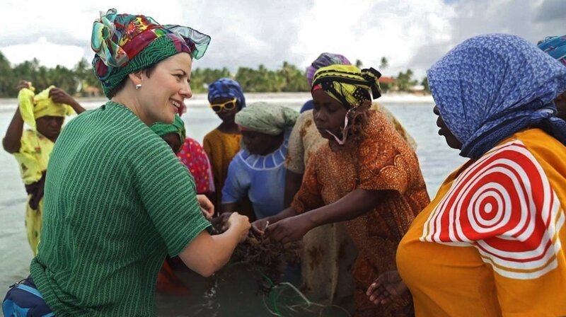 Zu den Einnahmequellen Sansibars gehört der Anbau von Algen. Die Ernte ist Frauenarbeit, doch den Profit mit den in Europa begehrten Pflanzen machen andere. – Bild: phoenix/​ZDF/​3sat