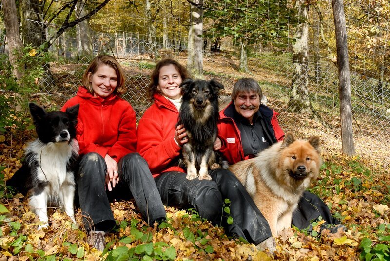 Die Leiter des Wolf Science Center: Friederike Range, Zsofia Viranyi und Kurt Kotrschal mit ihren Haushunden. – Bild: ORF III