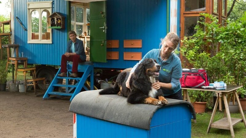 Fritz (Guido Hammesfahr, links) macht sich große Sorgen um seinen Hund Keks: Er frisst nicht und will keine Runden mehr drehen. Zum Glück kann Tierärztin Marlen (Marie Burchard, rechts) ihm helfen. – Bild: ZDF/​Zia Ziarno