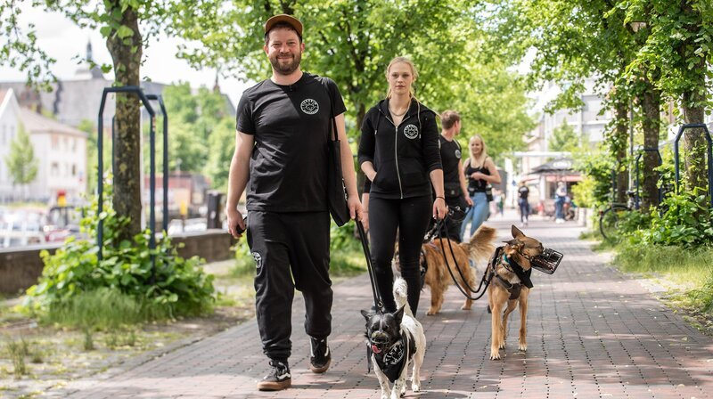 Tierheim-Leiter Dominic Köppen mit seinen Azubis und der „Trümmertruppe“ unterwegs in Oldenburg. Die Vierbeiner sind eine Gruppe von schwierigen Hunden, die besondere Aufmerksamkeit benötigen. (Weitere Bilder auf Anfrage) – Bild: NDR/dmfilm/Lisa-Marie Schnell Tierheim-Leiter Dominic Köppen mit seinen Azubis und der „Trümmertruppe“ unterwegs in Oldenburg. Die Vierbeiner sind eine Gruppe von schwierigen Hunden, die besondere Aufmerksamkeit benötigen. (Weitere Bilder auf Anfrage) – Bild: NDR/dmfilm/Lisa-Marie Schnell