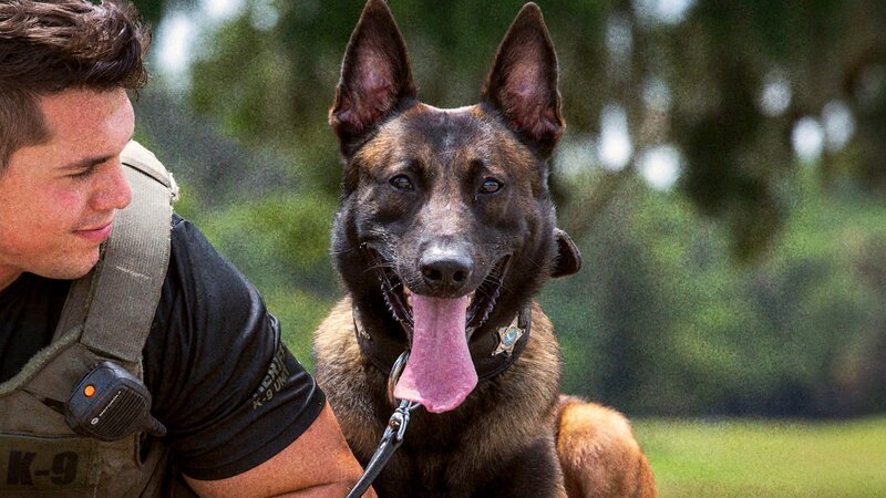 K9-Einheit – Polizeibeamter und Polizeihund – Bild: uklib /​ A+E Networks /​ Crime + Investigation