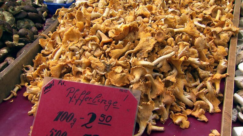 Waldpilze auf dem Markt stammen meist aus Osteuropa – in Deutschland stehen viele Arten unter Schutz. – Bild: NDR/​TV Plus GmbH/​Natascha Unbehaun