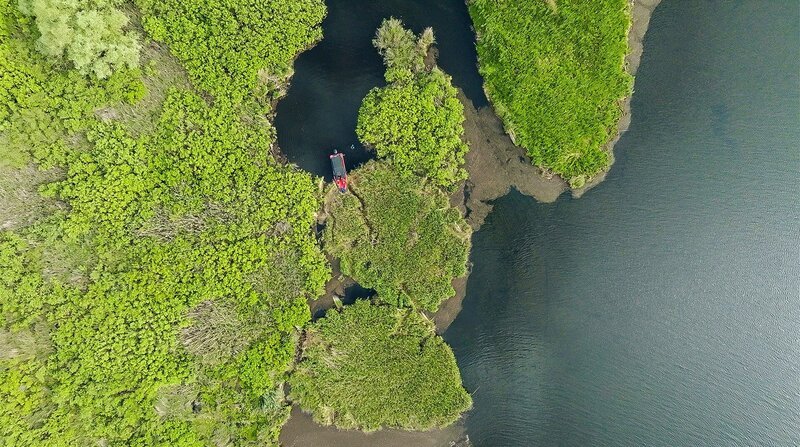 Schilfinseln von oben. Sie haben die „Aufgabe, das Donauwasser zu filtern und zu reinigen, bevor es sich ins Meer ergießt. – Bild: 3sat