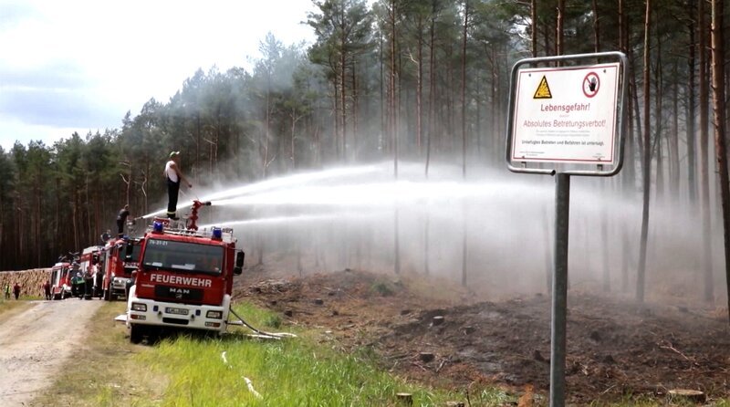 Waldbrand Lübtheen 2019 – Bild: NDR