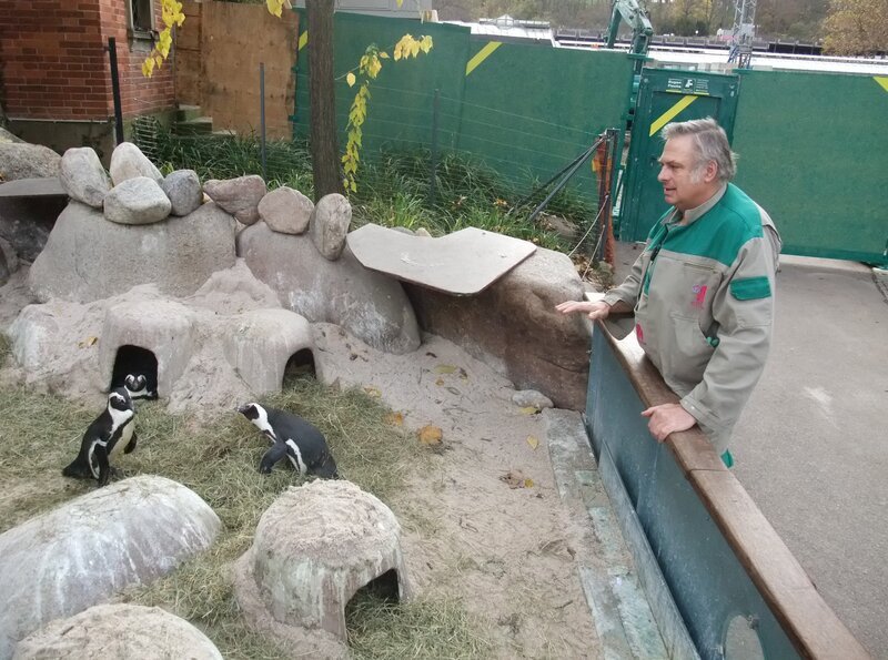 ARD/​SWR EISBÄR, AFFE & CO FOLGE 173, „Zoogeschichten aus Stuttgart“. – Bild: hr-fernsehen