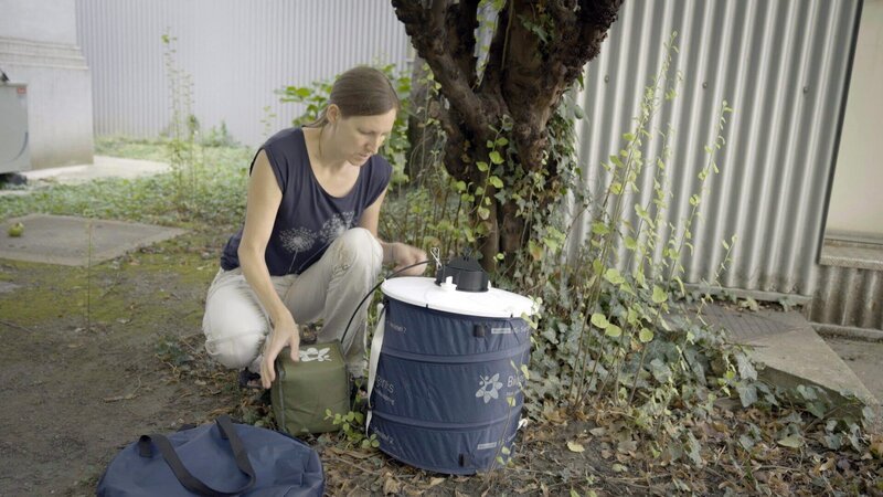 Gelsenexpertin Karin Bakran-Lebl fängt Stechmücken mit einer Monitoringfalle, um den Fang auf Krankheitserreger zu kontrollieren und Mückenpopulationen zu überwachen. – Bild: 3sat