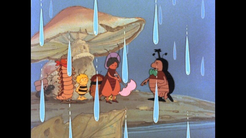 Unter einem Pilz such die Insekten Unterschlupf vor dem Regen. – Bild: ZDF