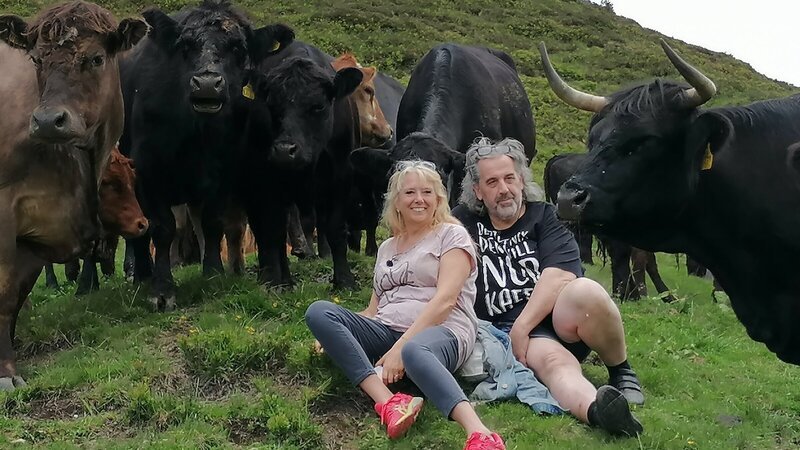 Tom Zuljevic-Salamon und seine Frau Judy sind erleichtert: Ihre Galloway-Mischlinge haben die lange Reise vom oberösterreichischen Mühlviertel auf die Alm ins Salzburger Land gut überstanden. 300 Kilometer ging es in Viehtransportern quer durch Österreich. Vor einem Jahr hatte Tom (59) die Ossmann-Hochalm gepachtet, jahrelang war sie brach gelegen. Ein arbeitsreicher Sommer mit großen Herausforderungen steht bevor. – Bild: 3sat