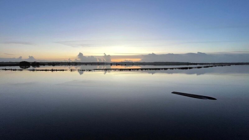 Die Sümpfe von Cotentin und Bessin in der Normandie sind riesige Feuchtgebiete – ein wahrer Zufluchtsort für Zugvögel und ein riesiges Reservoir an biologischer Vielfalt. – Bild: Arte