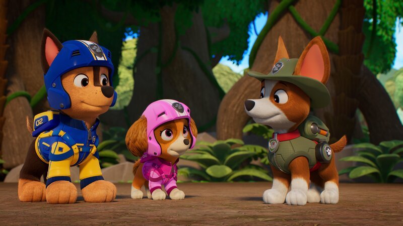 v.li.: Chase, Skye, Tracker – Bild: Paramount