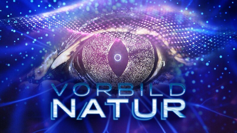  – Bild: CuriosityStream-Inc