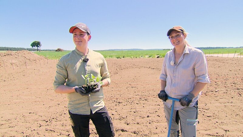 Die Land- und Forstwirtschaft hat Viktoria Hutter von den Großeltern übernommen. Ihr Partner Florian hatte bis vor ein paar Jahren nichts mit der Landwirtschaft zu tun – jetzt ist er vor allem beim Anpflanzen, Ernten und Einlegen von Gurkerln engagiert. Die beiden haben geheiratet – er hat ihren Namen angenommen. „Die Leute haben ohnedies immer ‚der Freund von der Hutter-Viki‘ zu ihm gesagt“, lacht Viktoria. Florian, der aus Oberösterreich zugezogen ist, ist seit kurzem Bürgermeister der Gemeinde Gastern im Waldviertel, Niederösterreich. Und Viktoria Hutter ist mittlerweile von der Gemeinderätin zur Bundesrätin der ÖVP aufgestiegen. Die politische Arbeit eint die beiden – immerhin gibt es laufend Feuerswehrfeste und andere Veranstaltungen, die die beiden in ihren Funktionen besuchen. – Bild: ORF