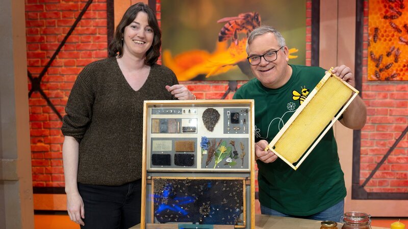Biologin und Autorin Dr. Johanna Prinz (l.) zeigt Elton (r.) im Studio wie ein Bienenstock organisiert ist. – Bild: ZDF