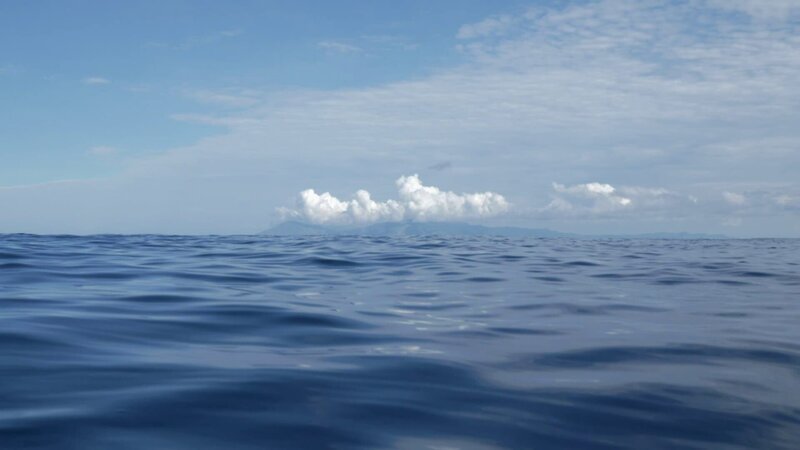 Sea. – Bild: Discovery Channel (ROMA)