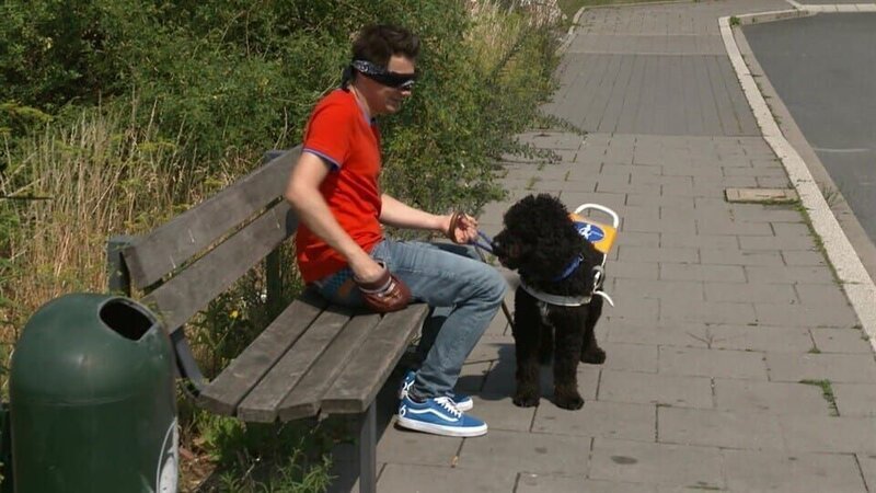 Dabei bekommt er Hilfe von einem ganz besonderen Hund. – Bild: Kinderkanal