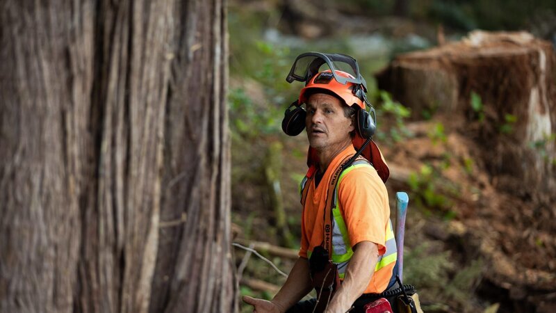 Hand Faller Jim Gardner takes on a giant money tree in the Pacific Northwest. – Bild: Warner Bros. Discovery