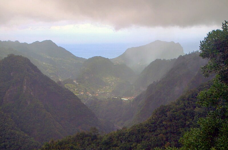 Im Nordwesten von Madeira befindet sich der Lorbeerwald Fanal: Der nebelverhangene und niederschlagsreiche „Feenwald“ ist bei Touristen beliebt. – Bild: Elephant Doc