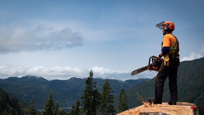 Hand Faller Rob Winger looks upon the beauty on the Pacific Northwest from atop a giant stump after his most recent treefall. – Bild: Warner Bros. Discovery