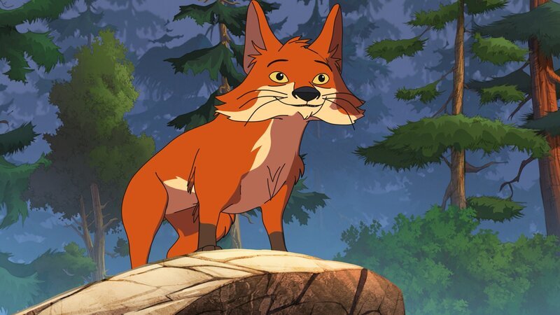 Fuchs Weißschwanz – Bild: WDR/​Storimage