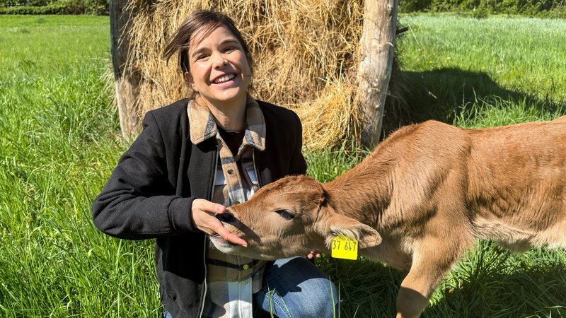 Kälbchen Jalo ist ein Auerrind. Das sind Rinder, die gezüchtet werden, um dem Auerochsen so ähnlich wie möglich zu werden. – Bild: BR/​TEXT+BILD Medienproduktion GmbH & Co. KG/​Mi-Yong Brehm